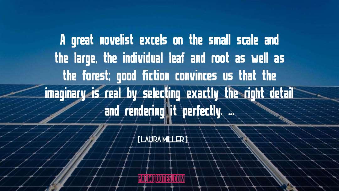 Laura Miller Quotes: A great novelist excels on