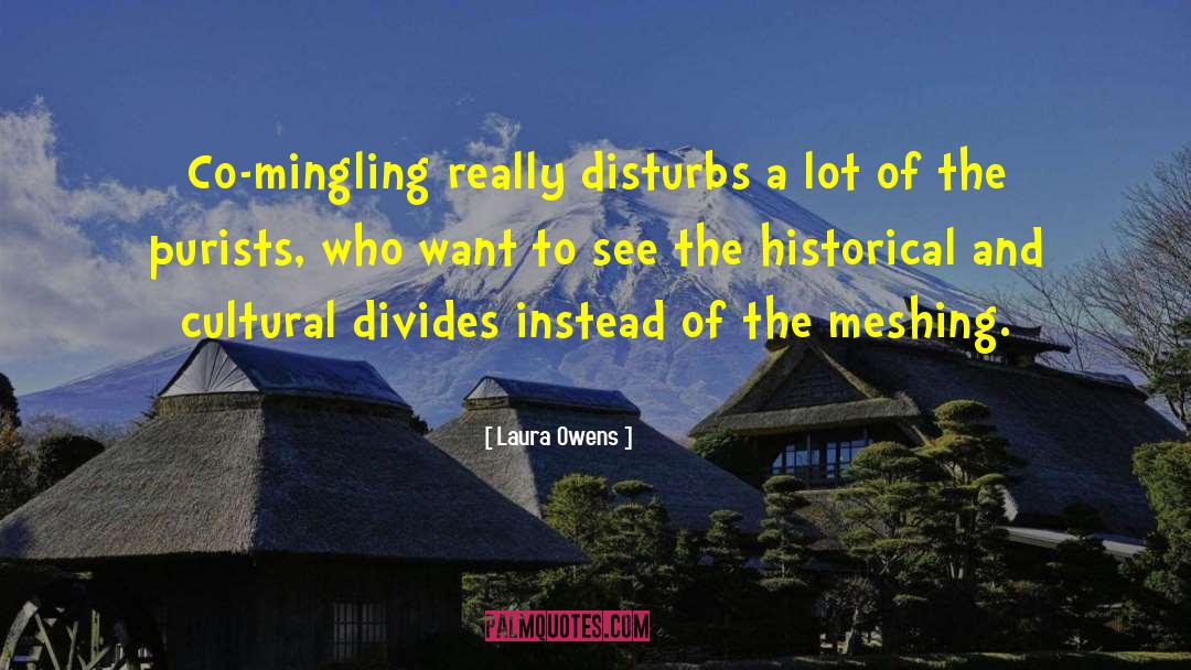 Laura Owens Quotes: Co-mingling really disturbs a lot