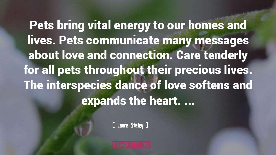 Laura Staley Quotes: Pets bring vital energy to