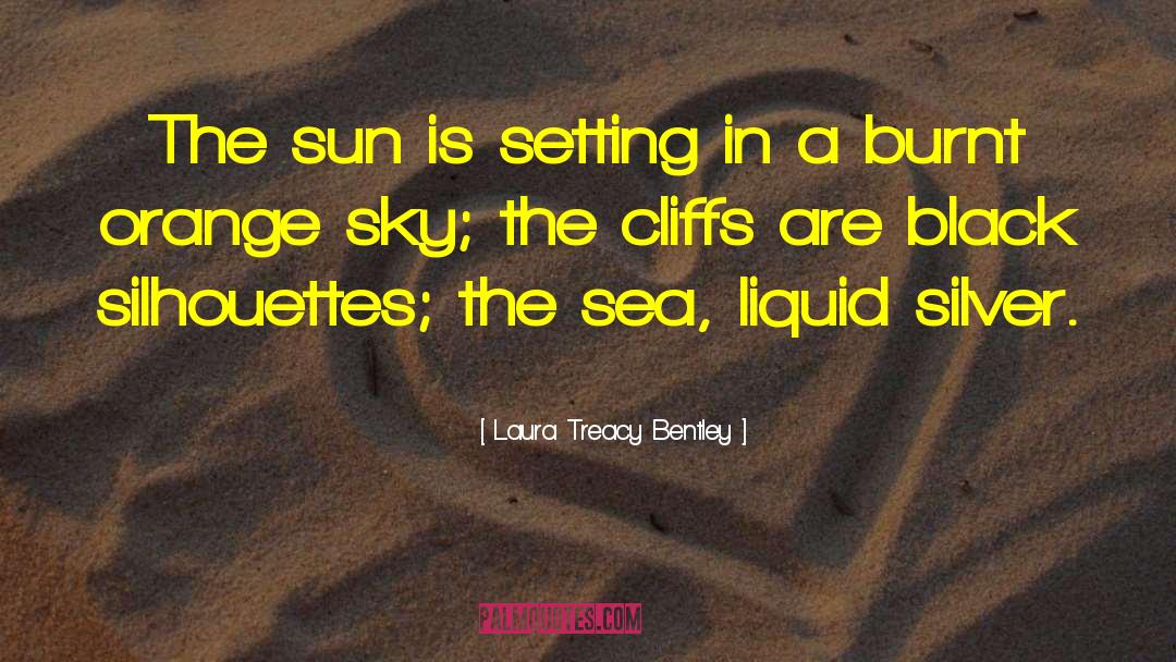Laura Treacy Bentley Quotes: The sun is setting in