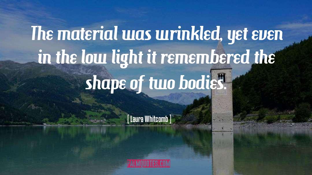 Laura Whitcomb Quotes: The material was wrinkled, yet