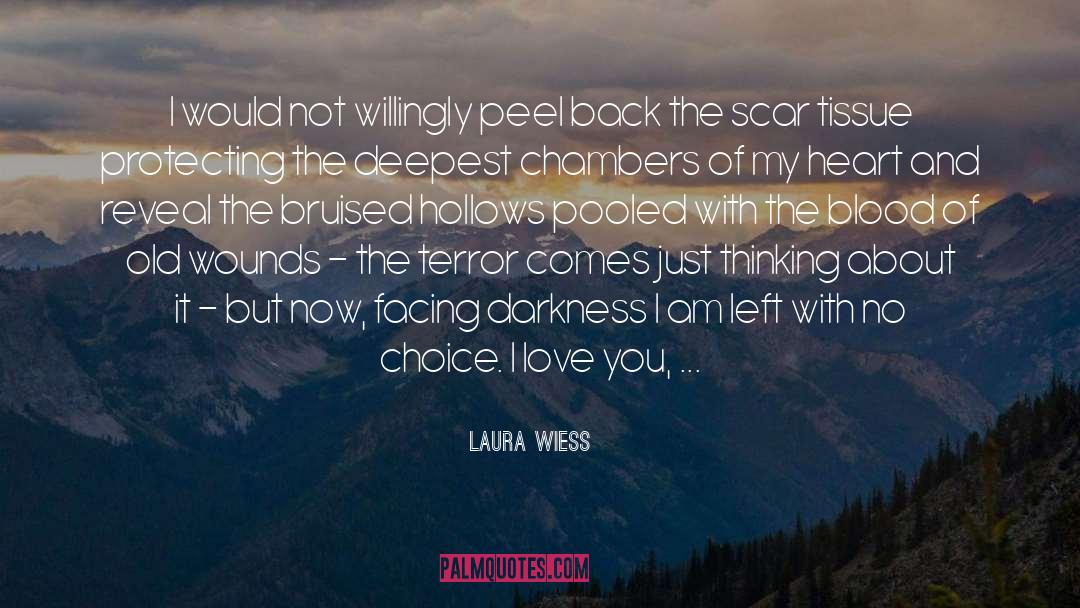 Laura Wiess Quotes: I would not willingly peel