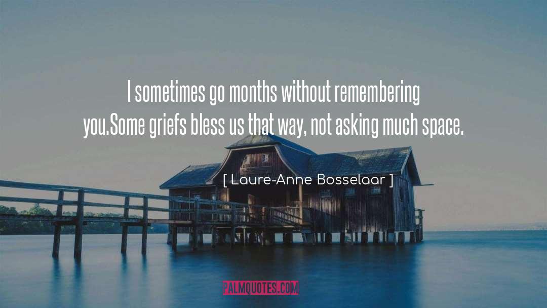Laure-Anne Bosselaar Quotes: I sometimes go months without