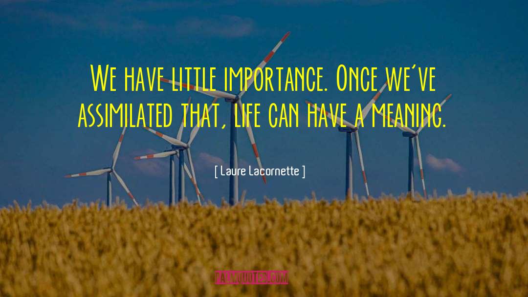Laure Lacornette Quotes: We have little importance. Once