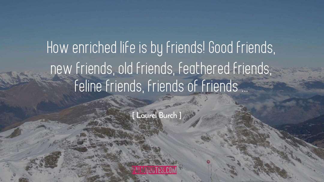 Laurel Burch Quotes: How enriched life is by