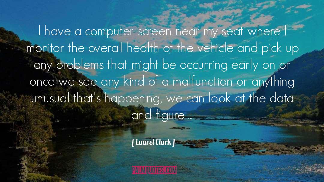 Laurel Clark Quotes: I have a computer screen