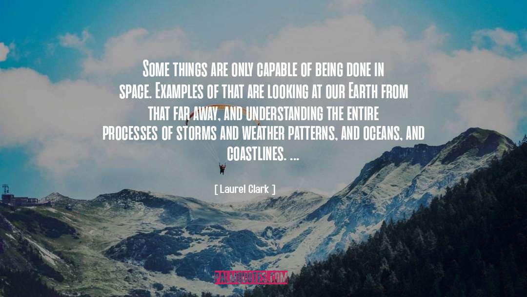 Laurel Clark Quotes: Some things are only capable