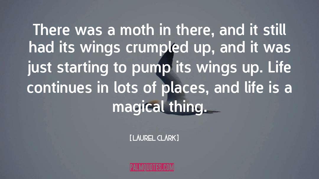 Laurel Clark Quotes: There was a moth in