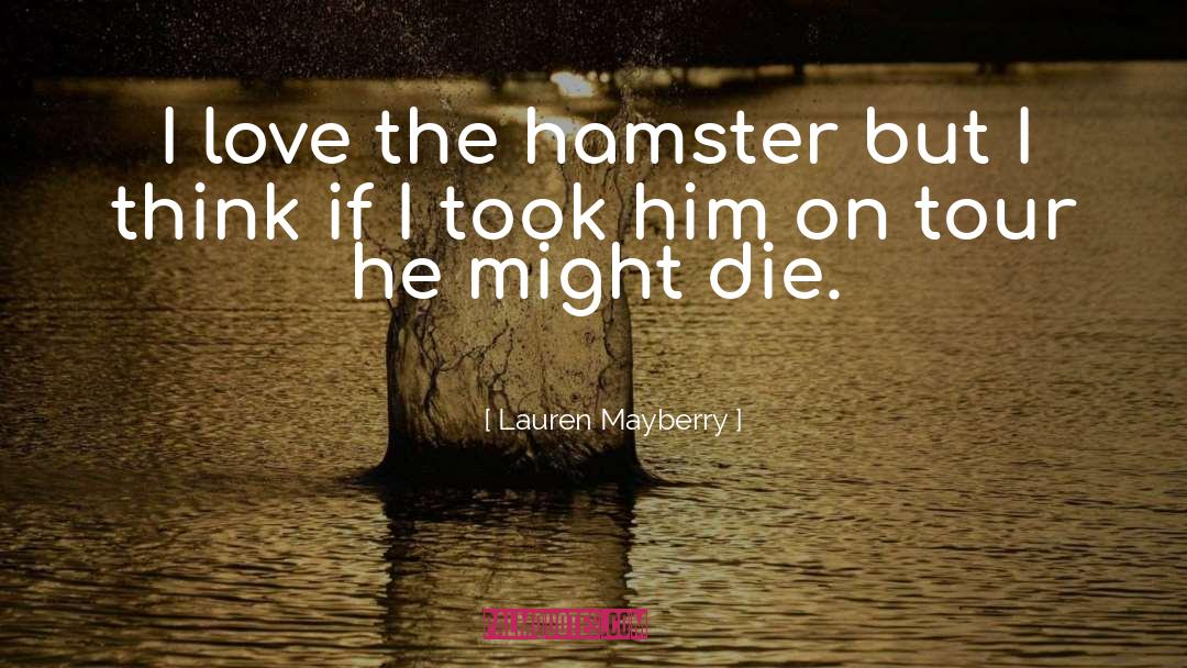 Lauren Mayberry Quotes: I love the hamster but
