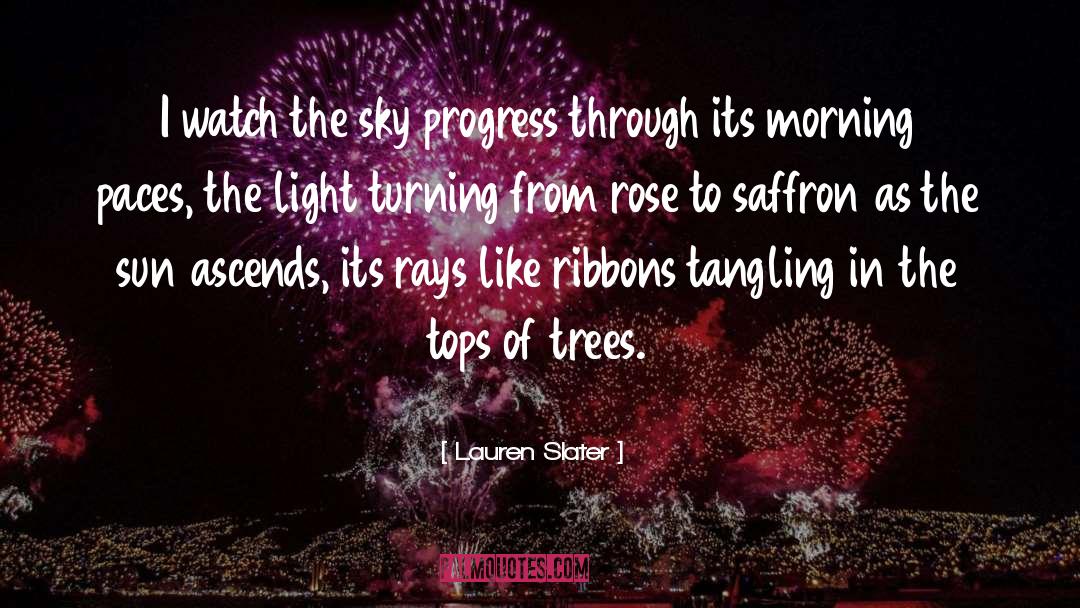 Lauren Slater Quotes: I watch the sky progress