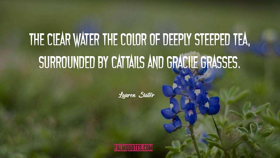 Lauren Slater Quotes: The clear water the color