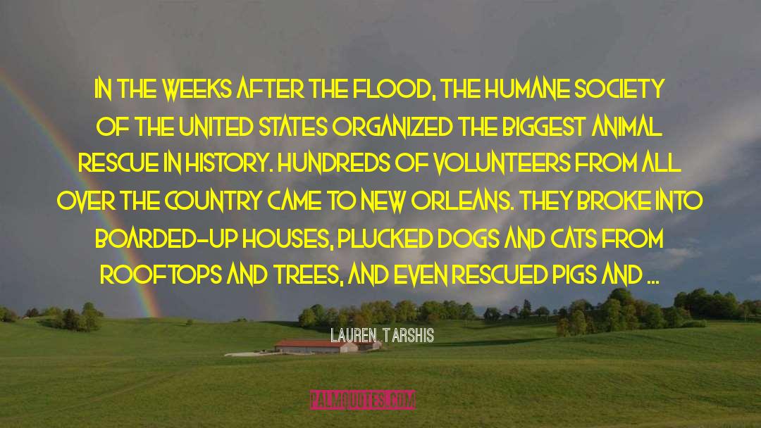 Lauren Tarshis Quotes: In the weeks after the