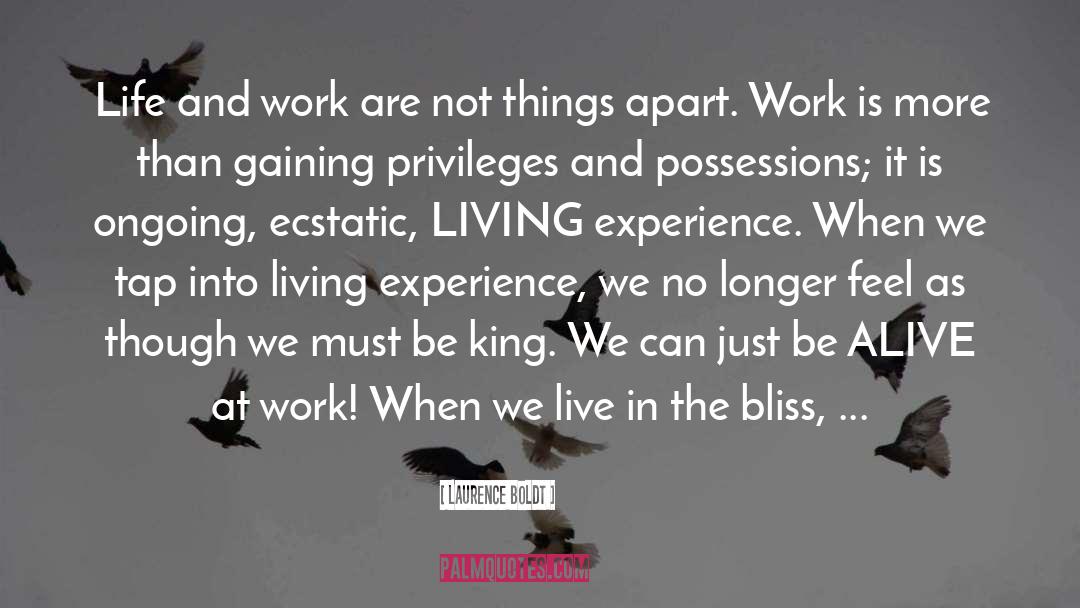 Laurence Boldt Quotes: Life and work are not