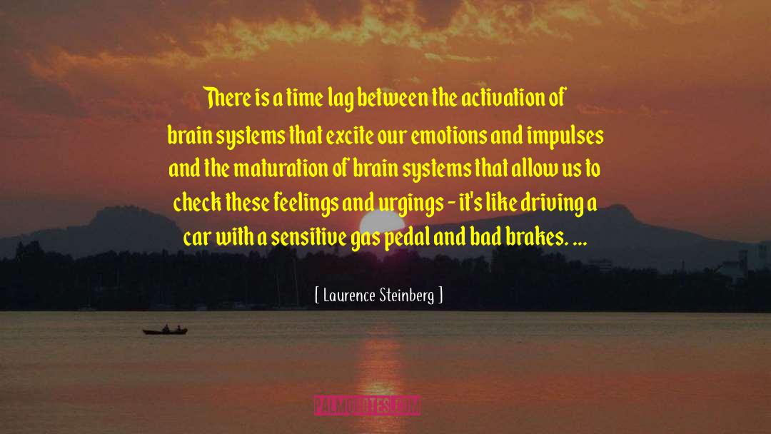 Laurence Steinberg Quotes: There is a time lag