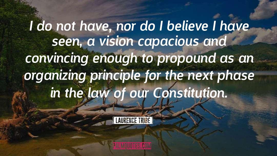 Laurence Tribe Quotes: I do not have, nor