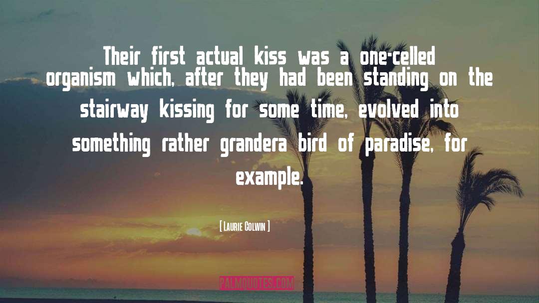 Laurie Colwin Quotes: Their first actual kiss was