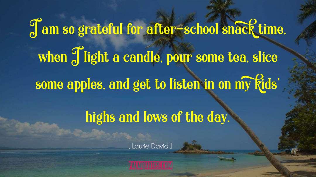 Laurie David Quotes: I am so grateful for