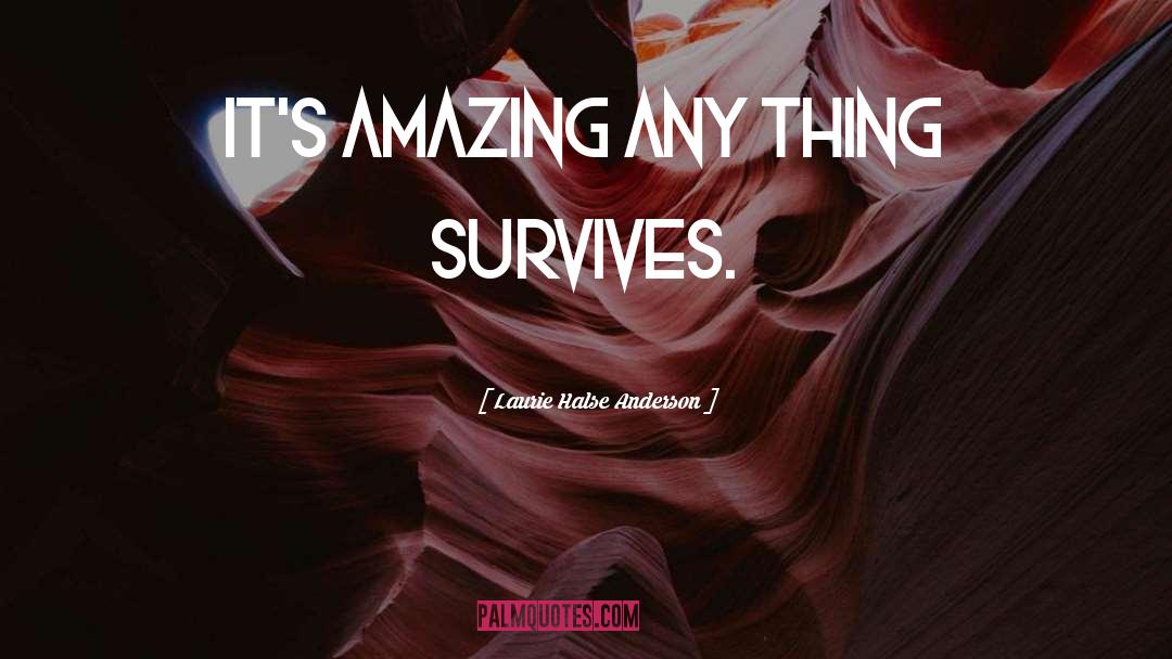 Laurie Halse Anderson Quotes: It's amazing any thing survives.