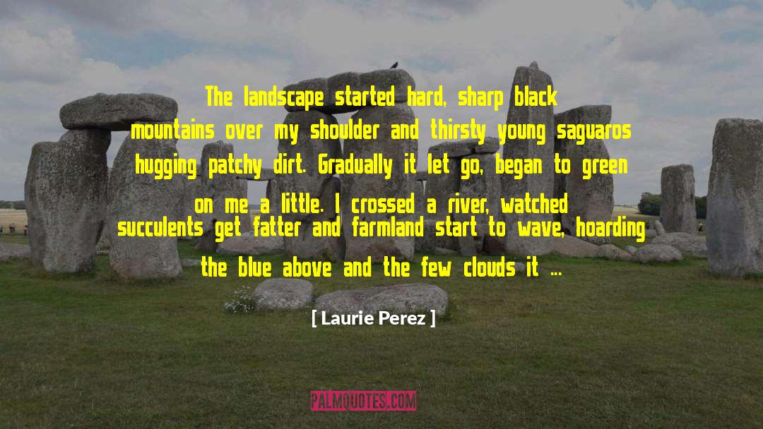 Laurie Perez Quotes: The landscape started hard, sharp
