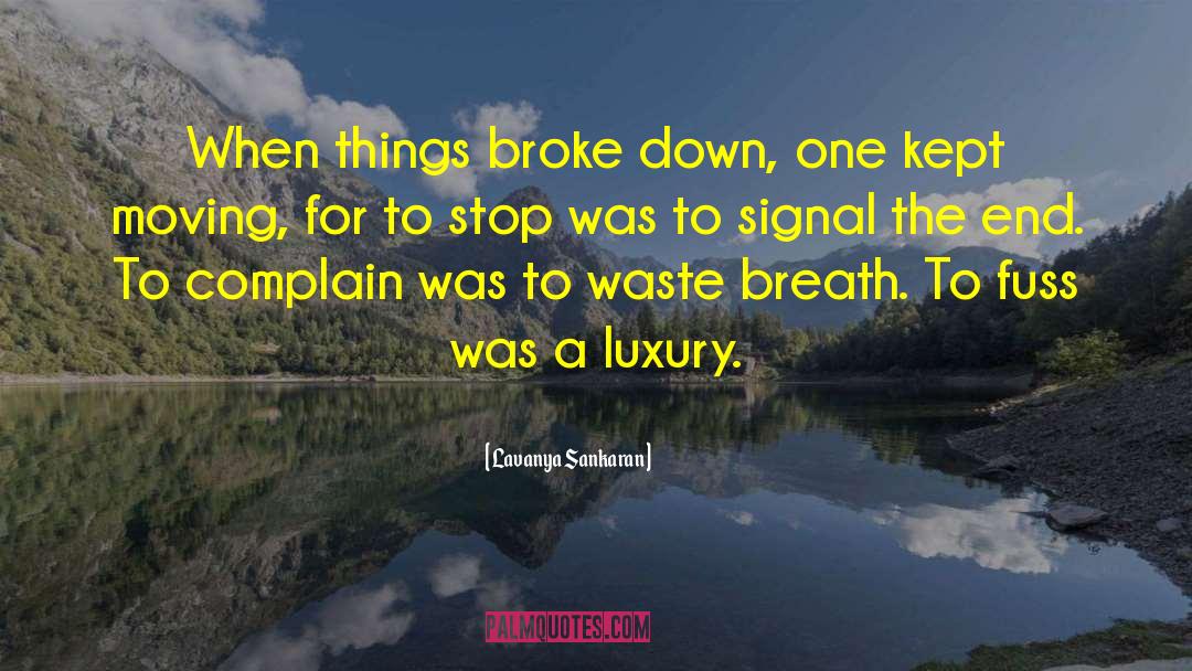 Lavanya Sankaran Quotes: When things broke down, one