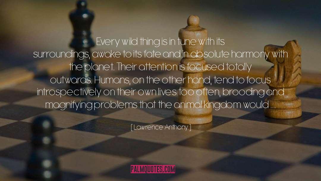 Lawrence Anthony Quotes: Every wild thing is in