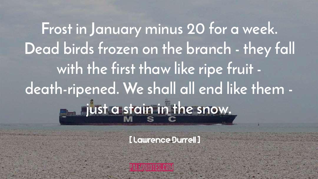 Lawrence Durrell Quotes: Frost in January minus 20