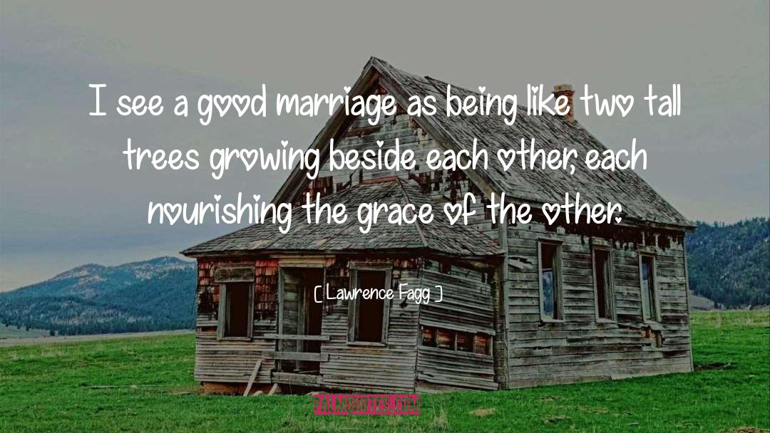 Lawrence Fagg Quotes: I see a good marriage