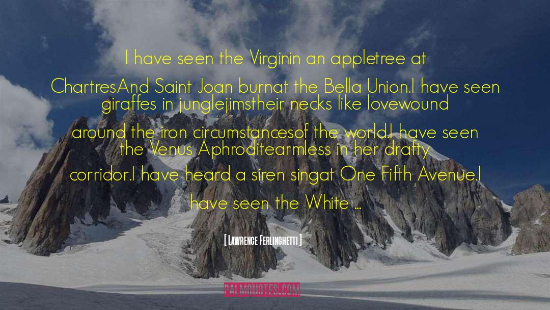 Lawrence Ferlinghetti Quotes: I have seen the Virgin<br>in