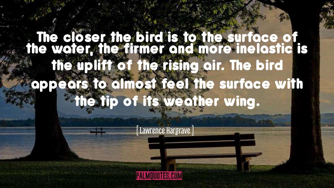 Lawrence Hargrave Quotes: The closer the bird is