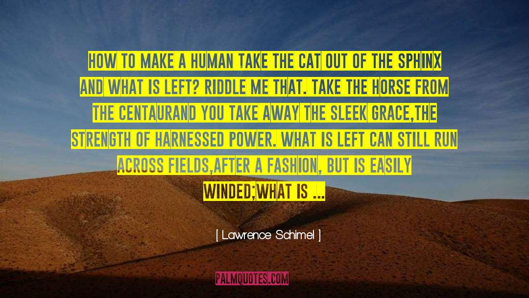 Lawrence Schimel Quotes: How To Make A Human