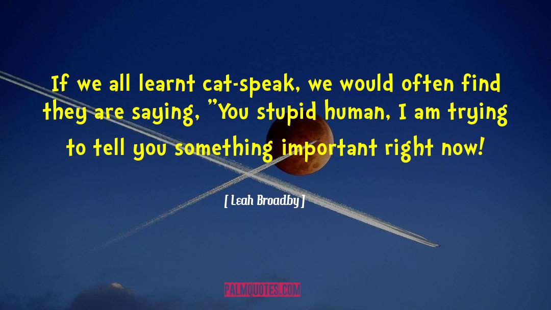 Leah Broadby Quotes: If we all learnt cat-speak,