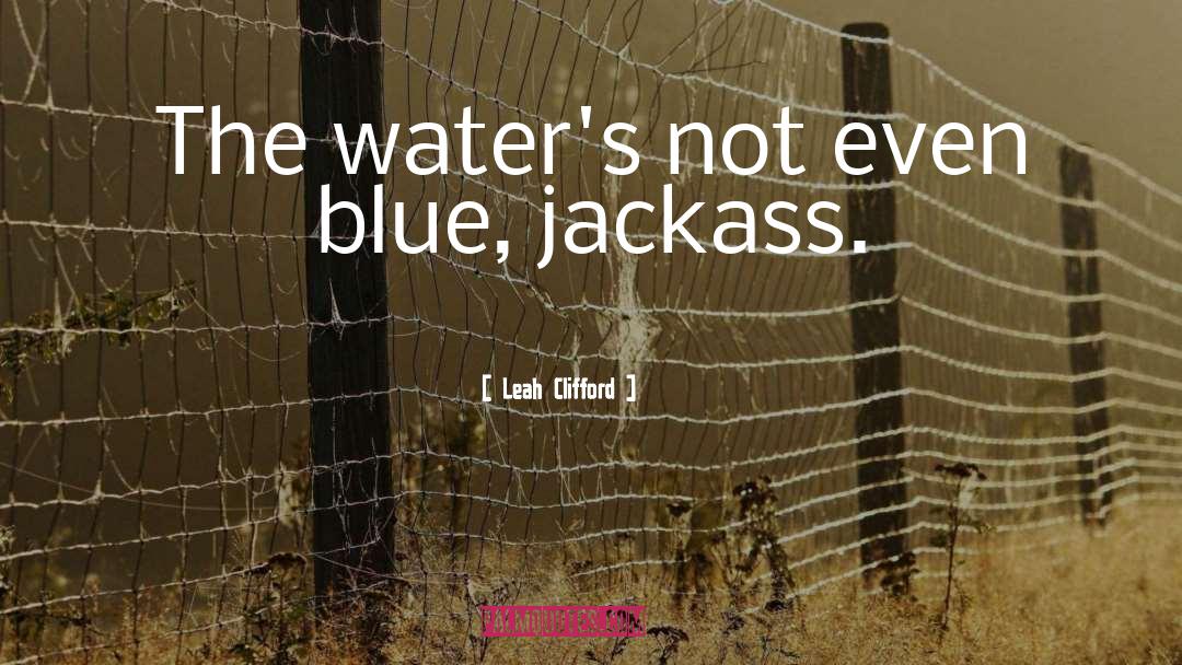 Leah Clifford Quotes: The water's not even blue,