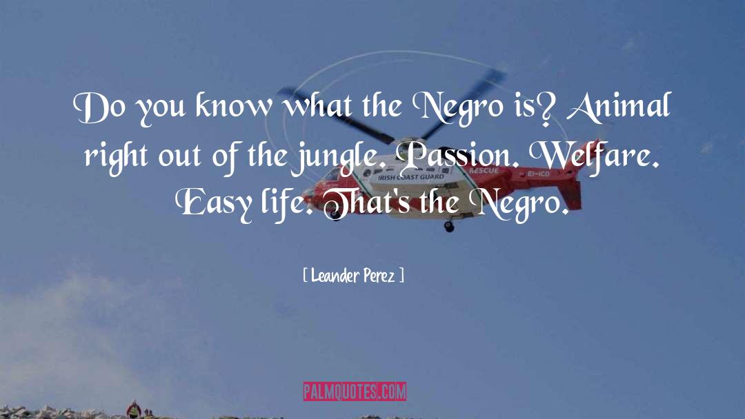 Leander Perez Quotes: Do you know what the