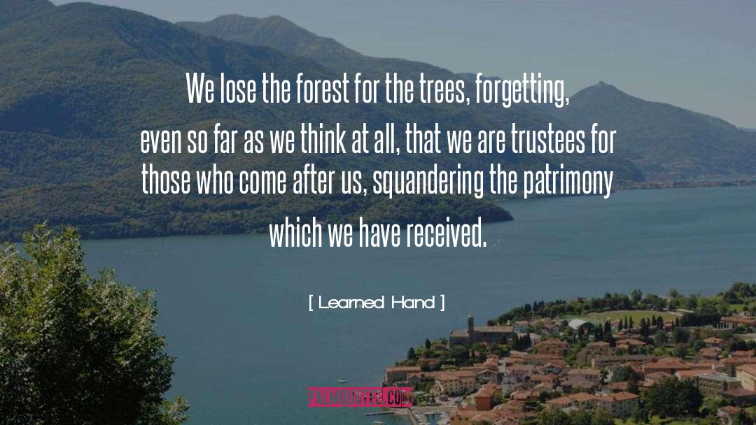 Learned Hand Quotes: We lose the forest for