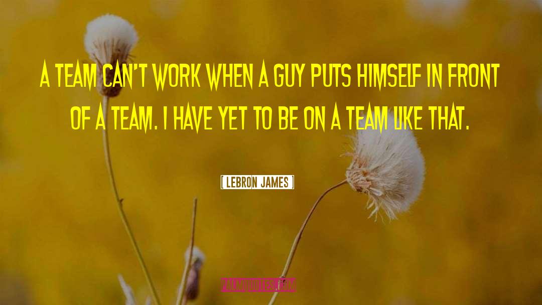 LeBron James Quotes: A team can't work when