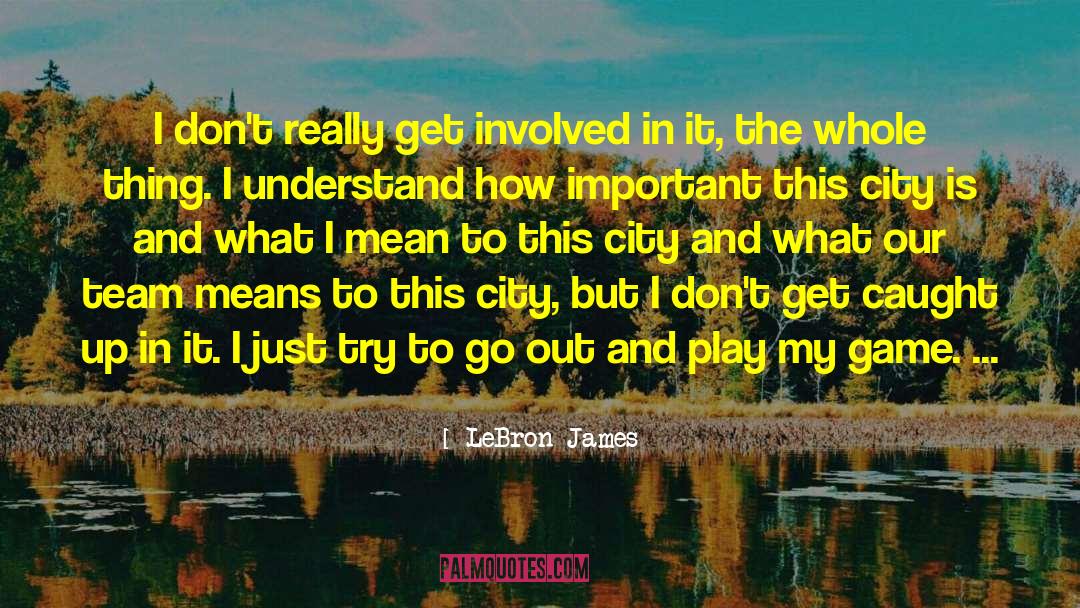 LeBron James Quotes: I don't really get involved