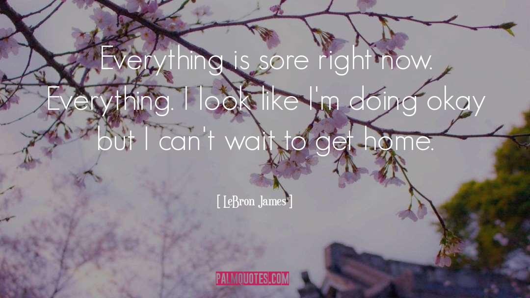 LeBron James Quotes: Everything is sore right now.