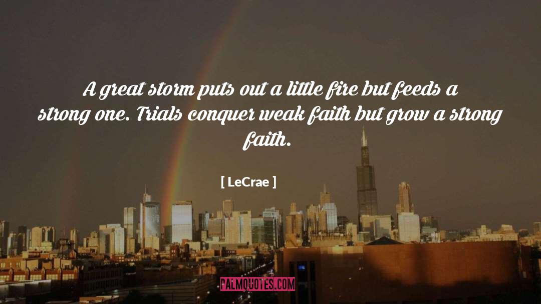 LeCrae Quotes: A great storm puts out