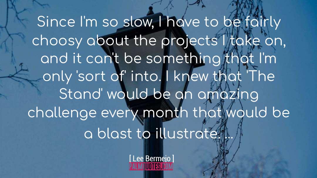 Lee Bermejo Quotes: Since I'm so slow, I