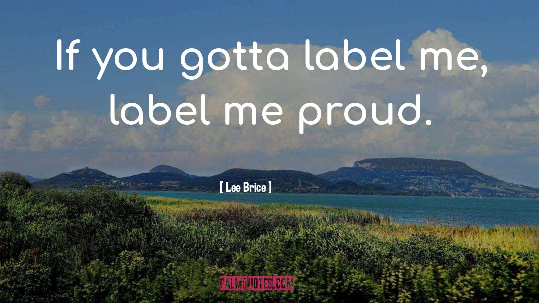 Lee Brice Quotes: If you gotta label me,