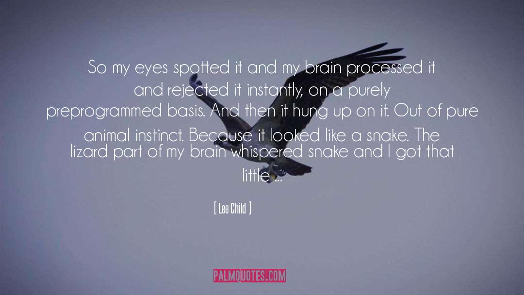 Lee Child Quotes: So my eyes spotted it