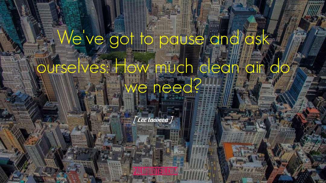 Lee Iacocca Quotes: We've got to pause and