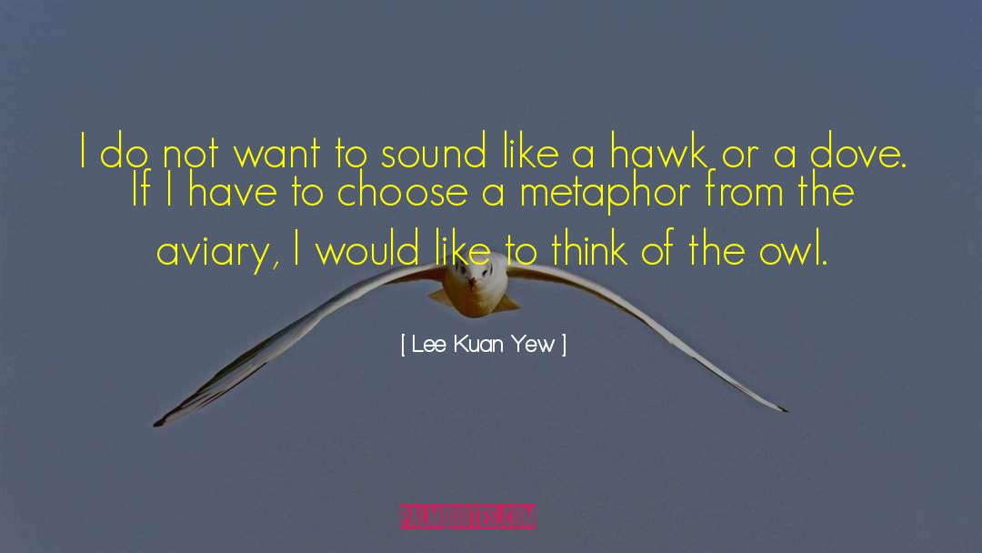 Lee Kuan Yew Quotes: I do not want to