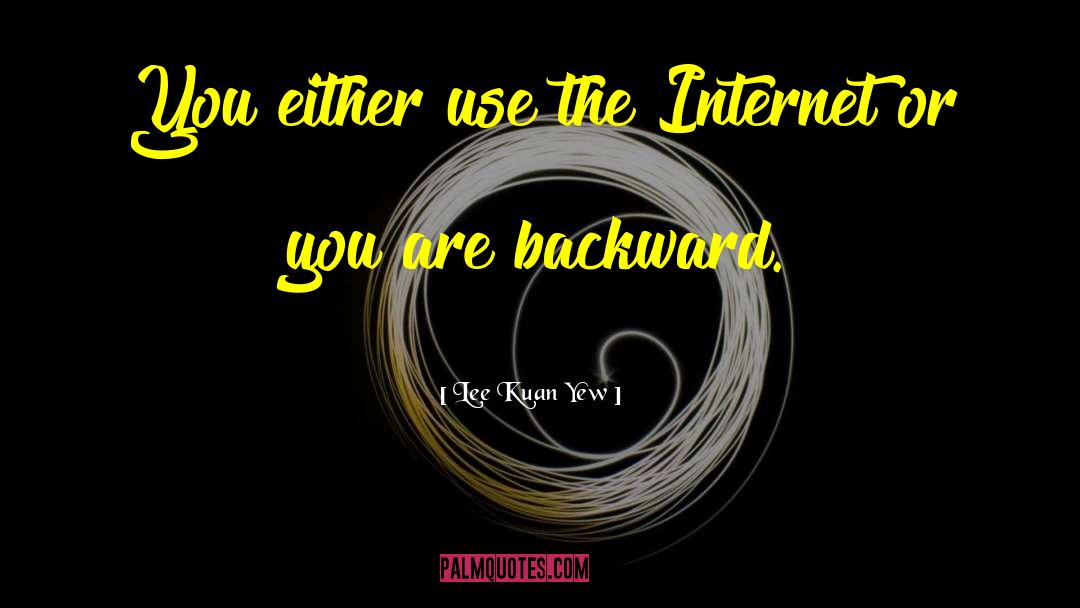 Lee Kuan Yew Quotes: You either use the Internet