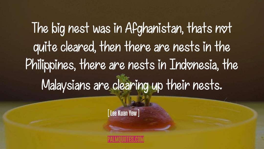 Lee Kuan Yew Quotes: The big nest was in