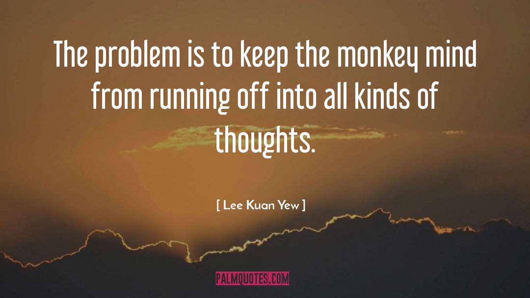 Lee Kuan Yew Quotes: The problem is to keep