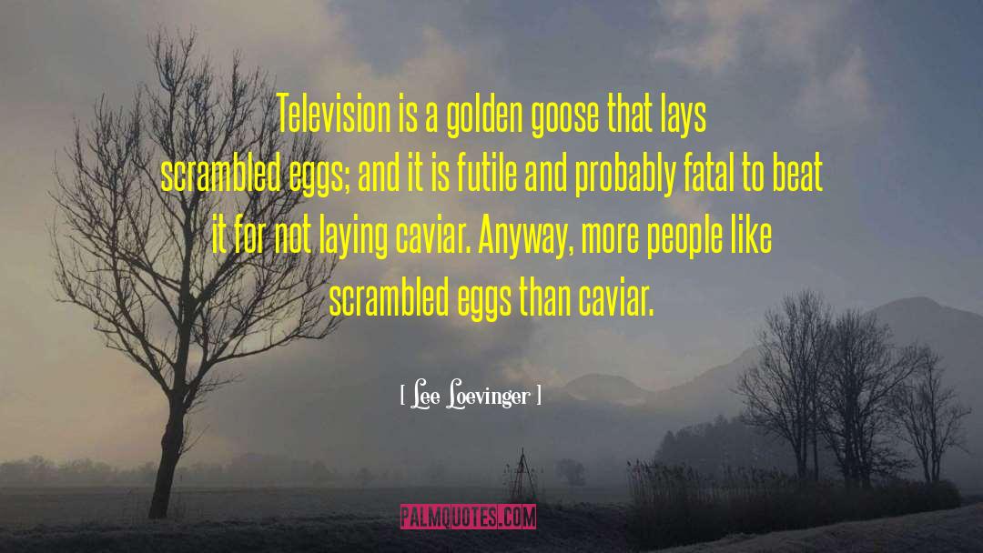 Lee Loevinger Quotes: Television is a golden goose