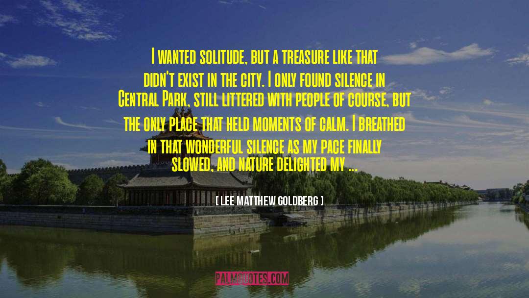 Lee Matthew Goldberg Quotes: I wanted solitude, but a