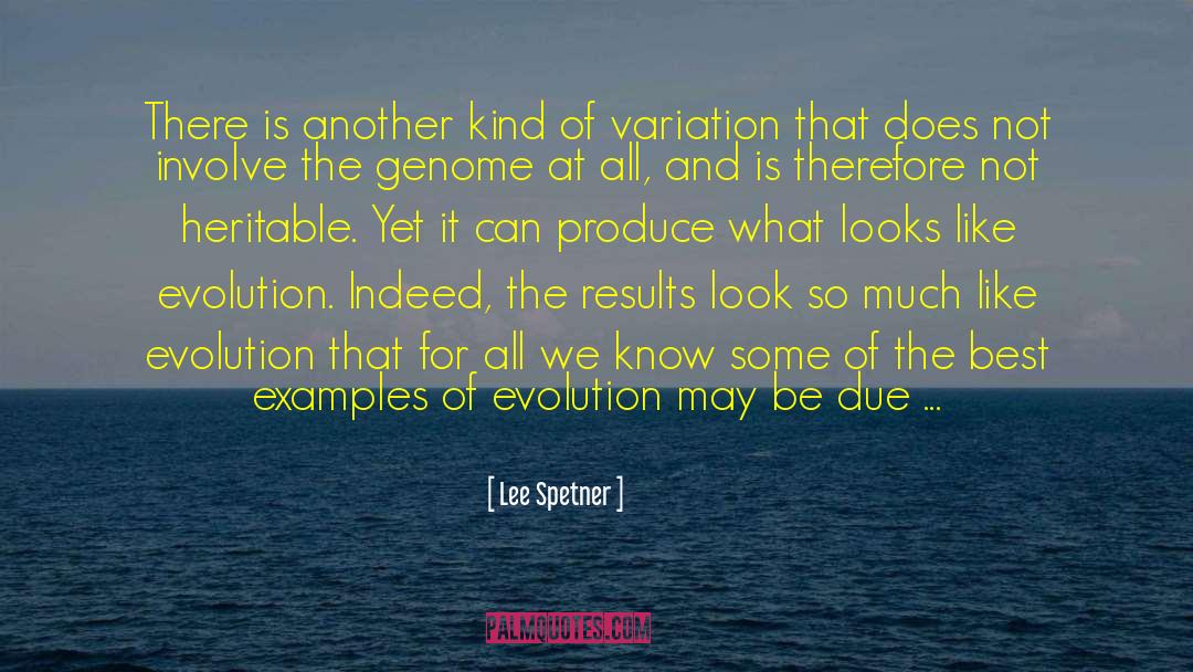 Lee Spetner Quotes: There is another kind of