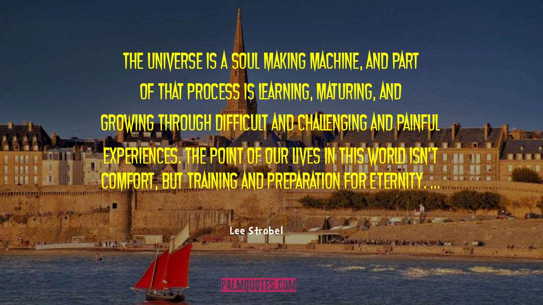 Lee Strobel Quotes: The universe is a soul